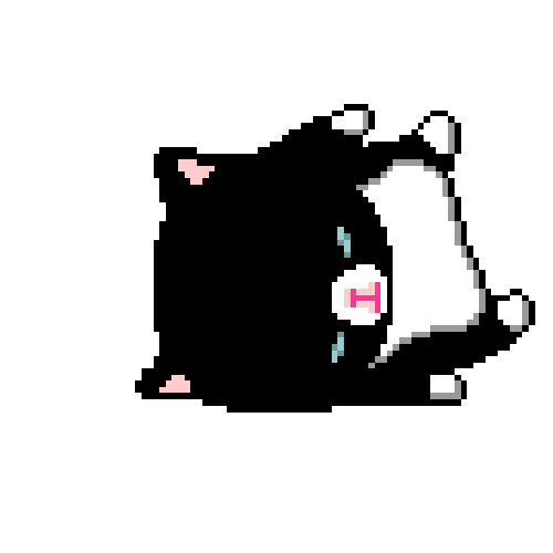 kitty kitty a gif of a black and white kitty rolling around